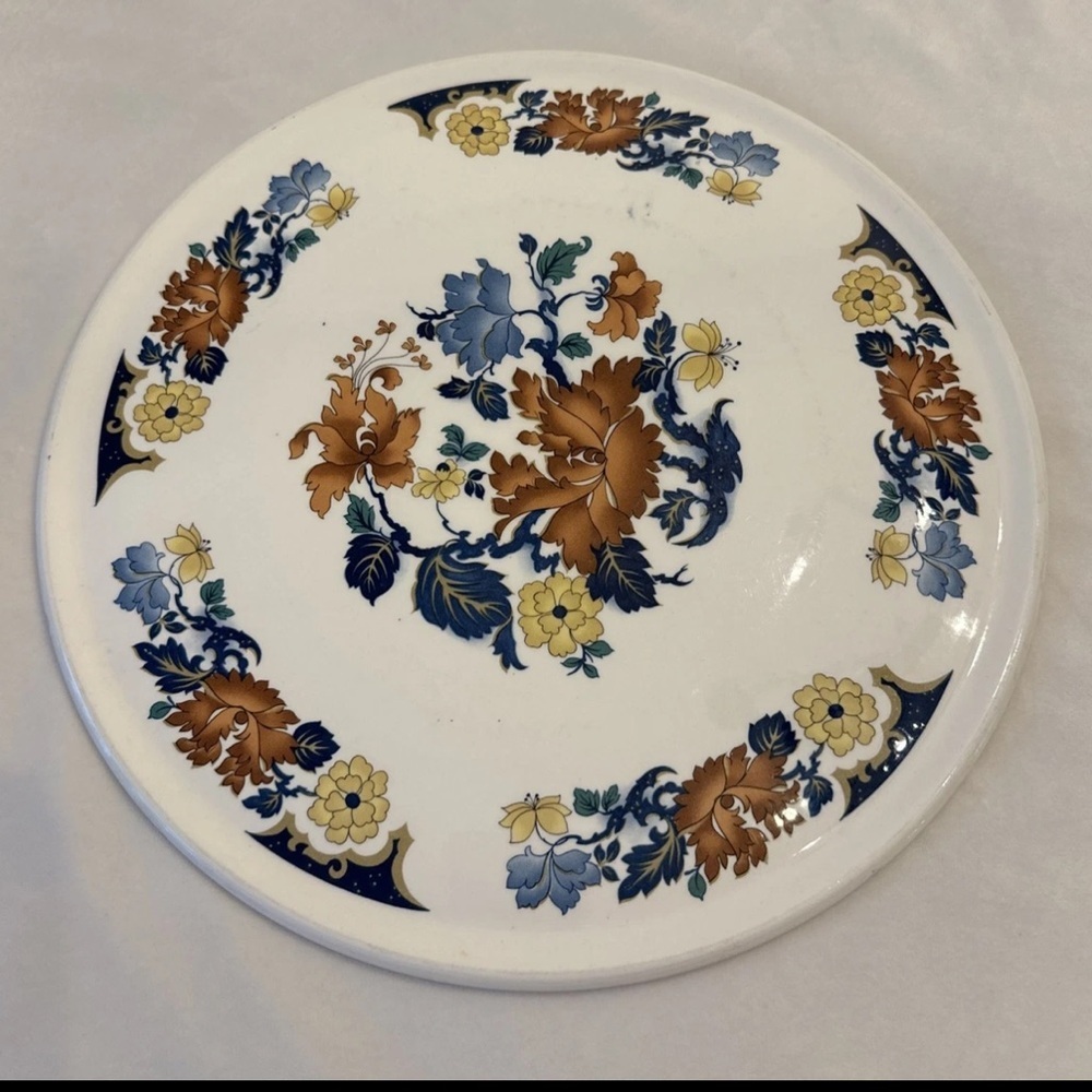 Stunning Vintage Myott England Plate 12in